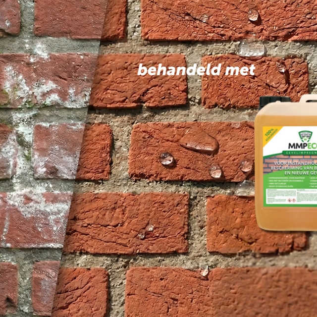 MMP-Eco: natuurlijke en duurzame gevelbescherming