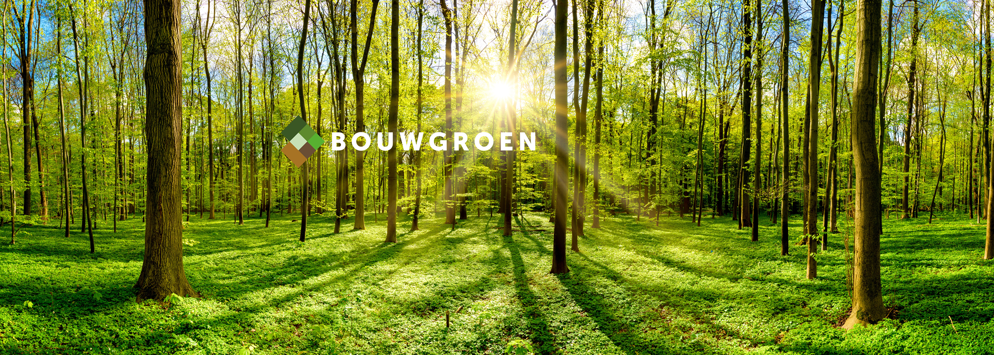 Bouwgroen