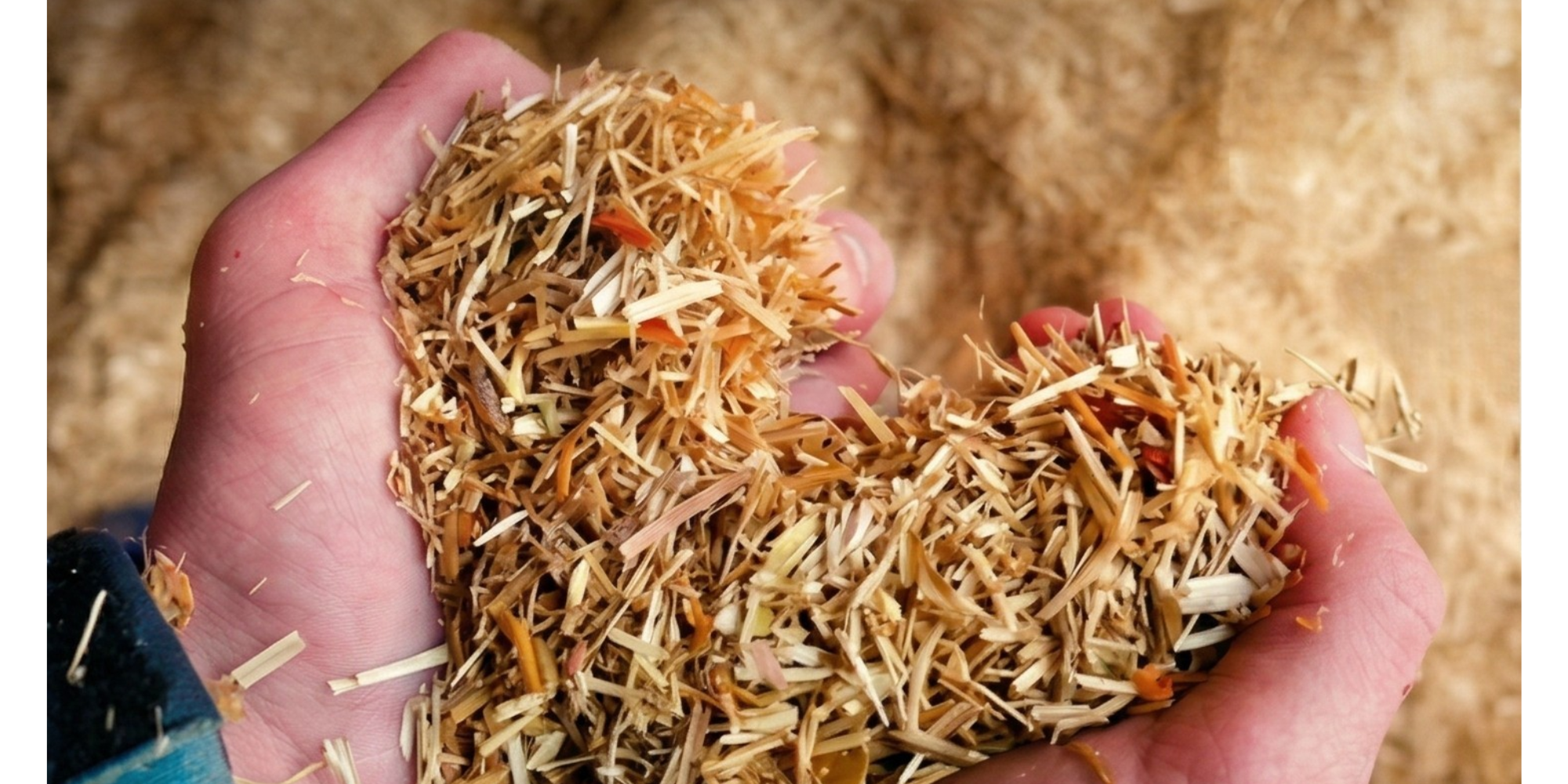 ISO-STROH: Inblaasisolatie van 100% tarwestro