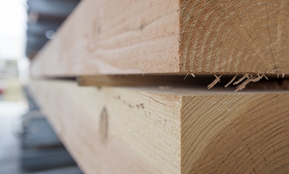 Hout